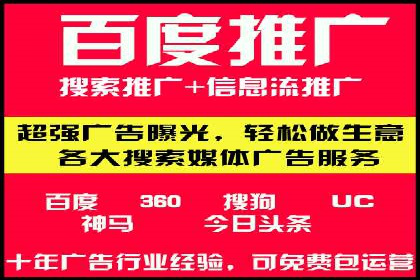 SEM竞价实战：成功案例解析